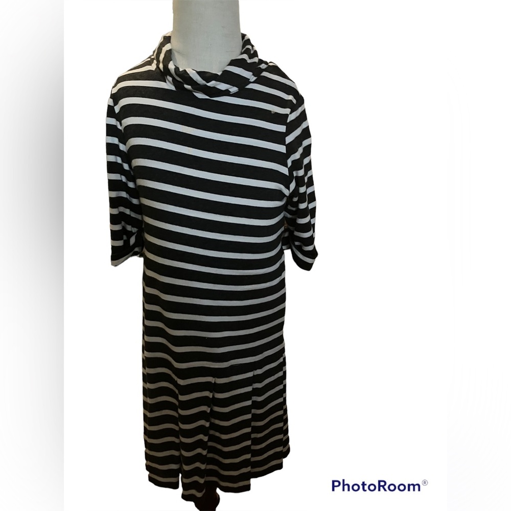 Black and white long sleeved long turtle neck  dress.